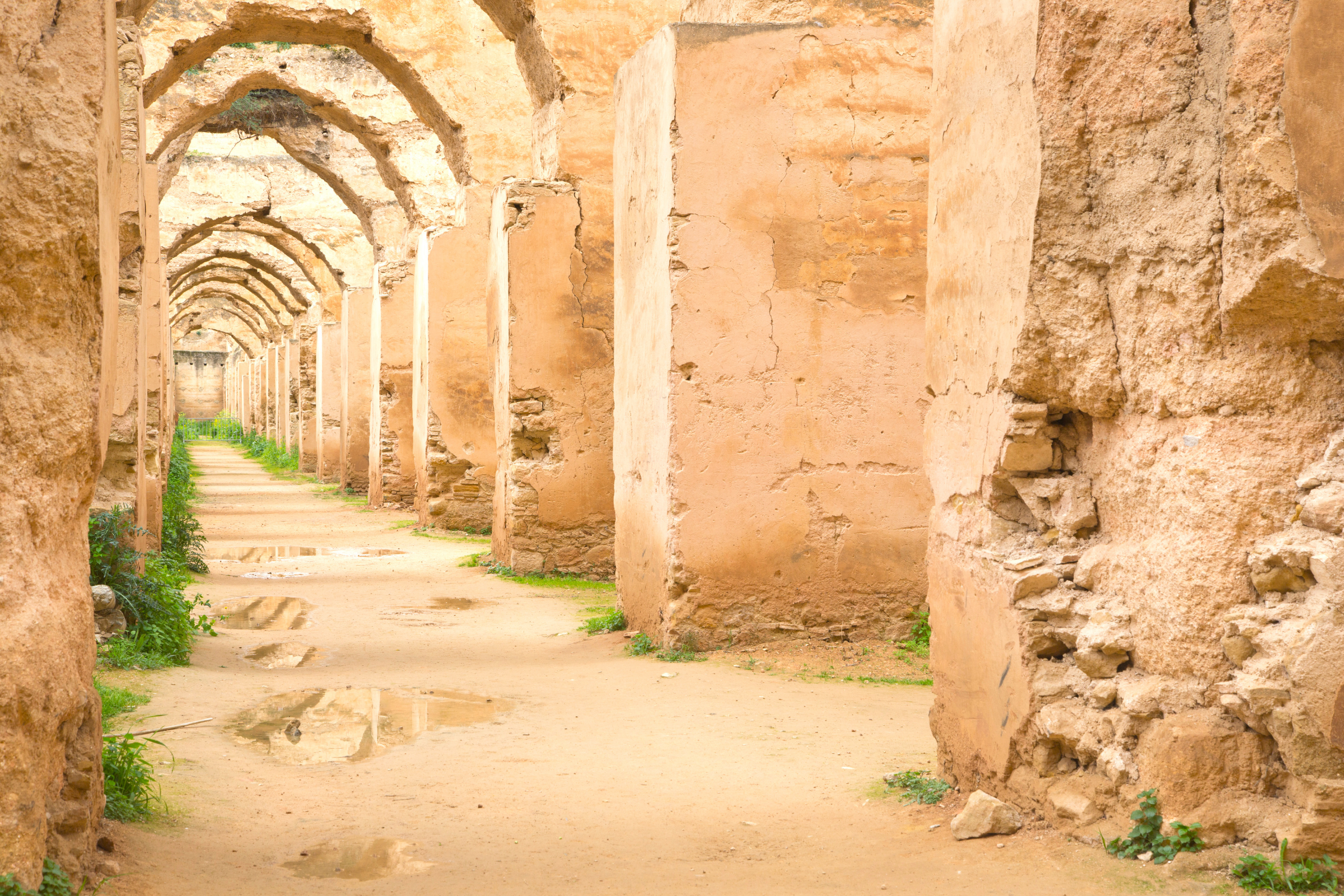 meknès (4).webp